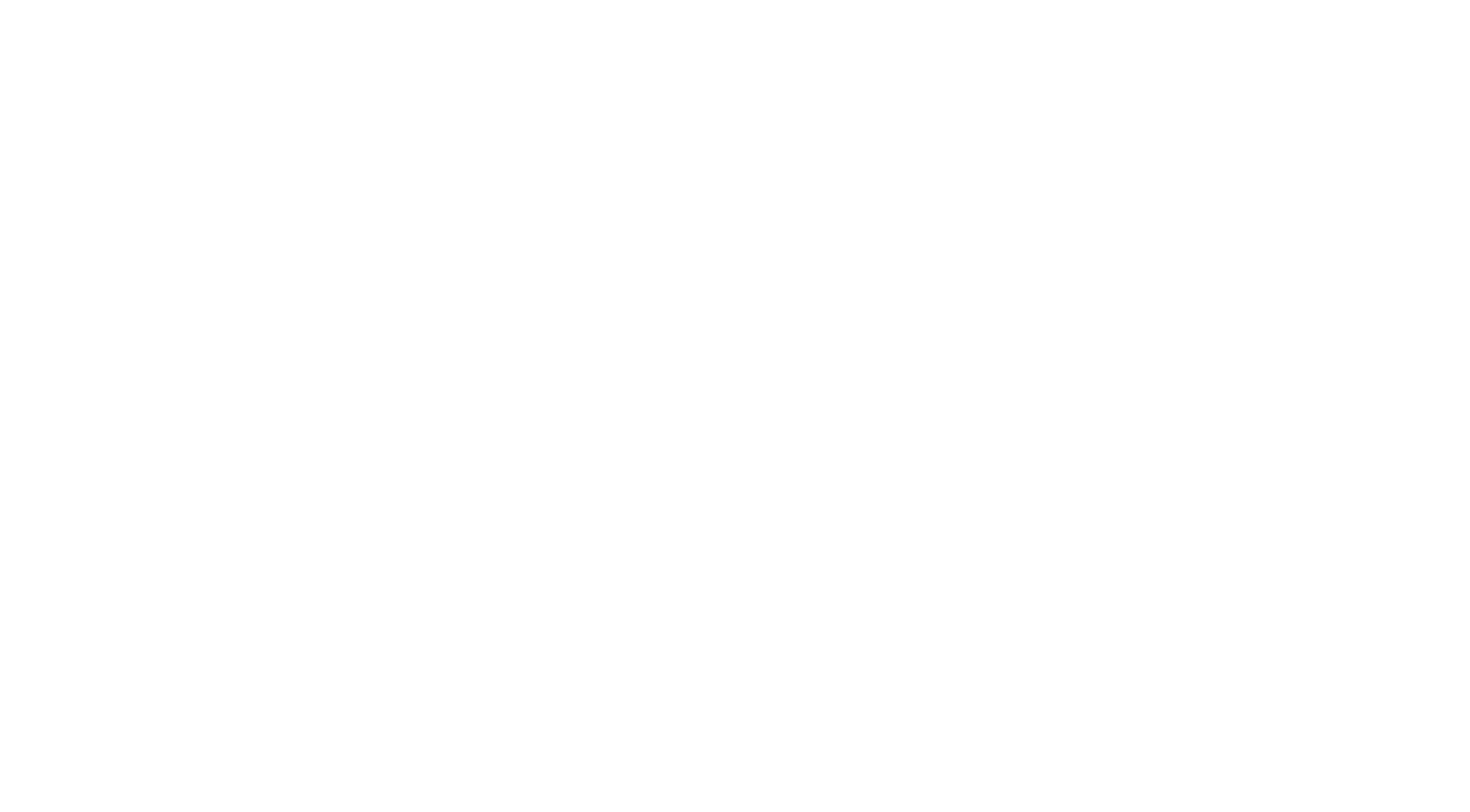 Moth VPN Logo